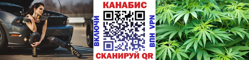 где купить наркоту  Приволжск  Канабис конопля 